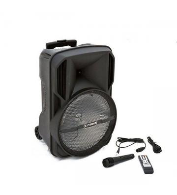Haut Parleur LT Power AL-1252 
